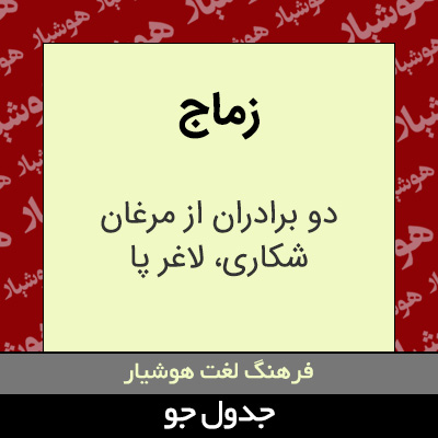 تصویری از زماج