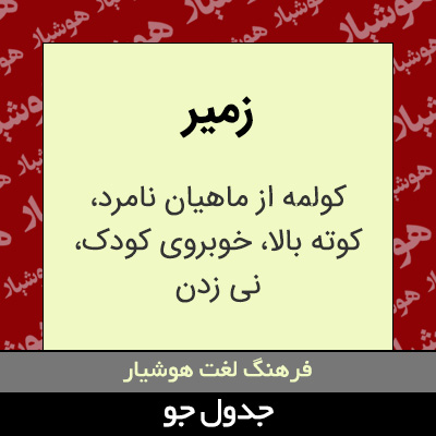 تصویری از زمیر