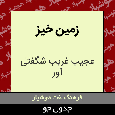 تصویری از زمین خیز