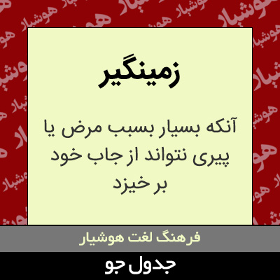 تصویری از زمینگیر