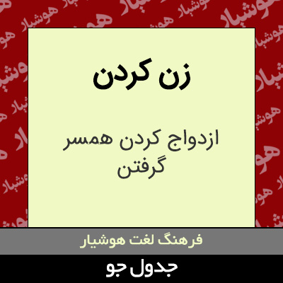 تصویری از زن کردن