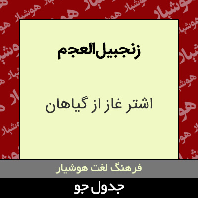 تصویری از زنجبیل العجم