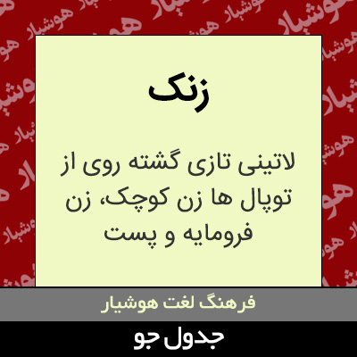 تصویری از زنک