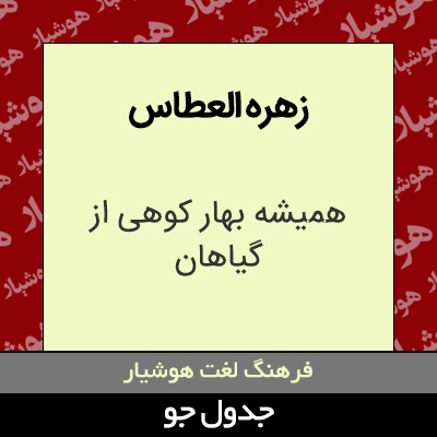 تصویری از زهره العطاس