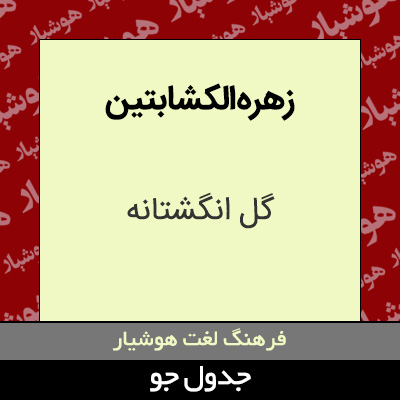 تصویری از زهره الکشابتین