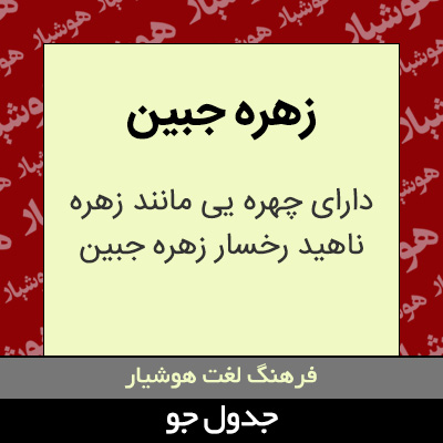تصویری از زهره جبین