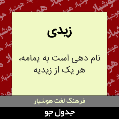 تصویری از زیدی