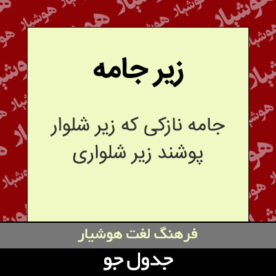 تصویری از زیر جامه