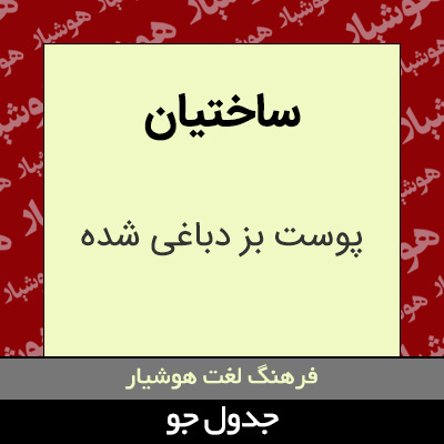 تصویری از ساختیان