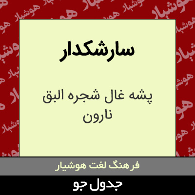 تصویری از سارشکدار