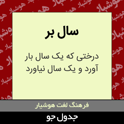 تصویری از سال بر