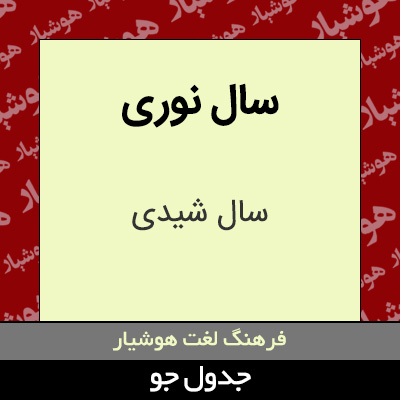 تصویری از سال نوری