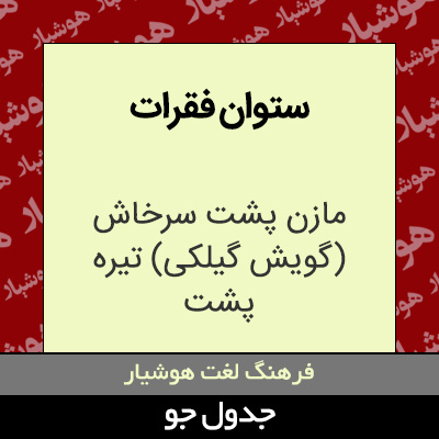 تصویری از ستوان فقرات