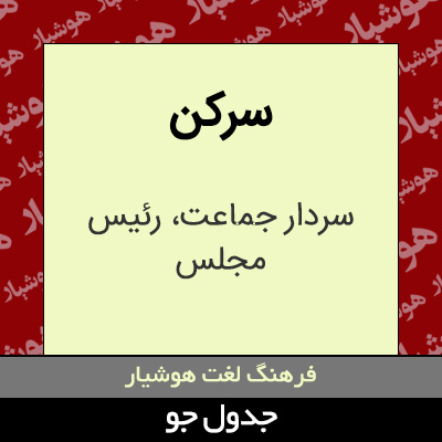 تصویری از سرکن