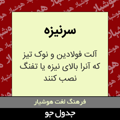 تصویری از سرنیزه