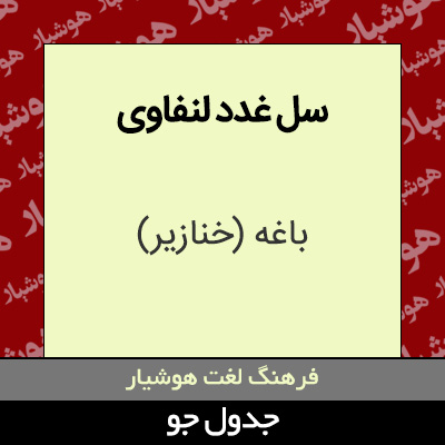 تصویری از سل غدد لنفاوی