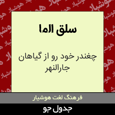 تصویری از سلق الما