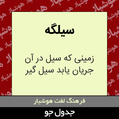 تصویری از سیلگه