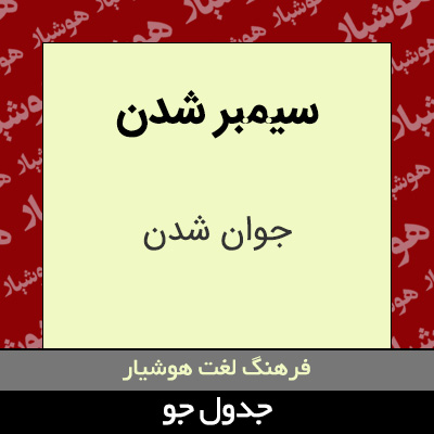 تصویری از سیمبر شدن