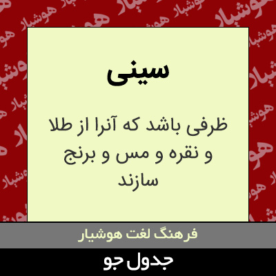 تصویری از سینی