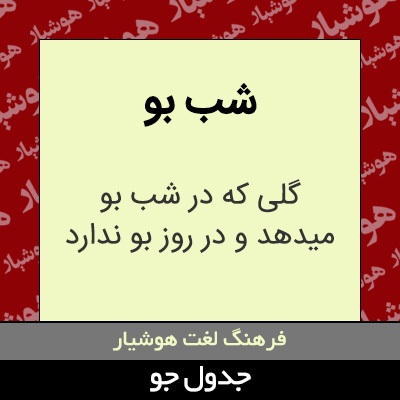 تصویری از شب بو