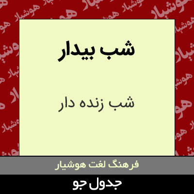 تصویری از شب بیدار