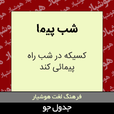 تصویری از شب پیما