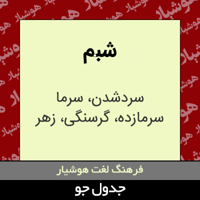 تصویری از شبم