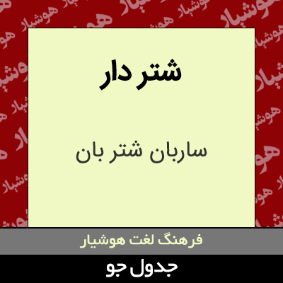 تصویری از شتر دار