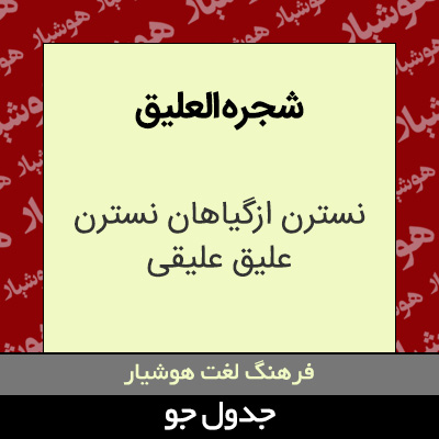 تصویری از شجره العلیق