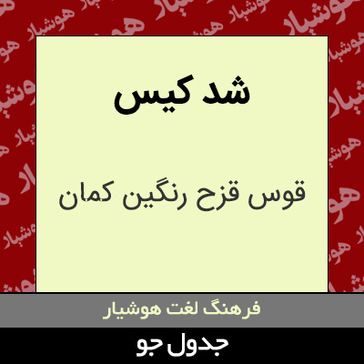 تصویری از شد کیس