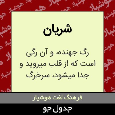 تصویری از شریان