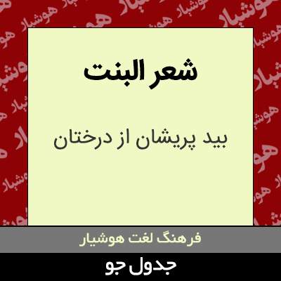 تصویری از شعر البنت