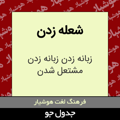 تصویری از شعله زدن