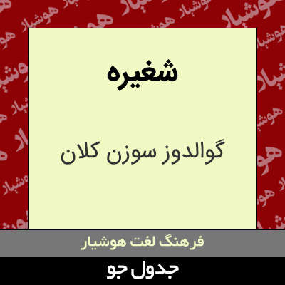 تصویری از شغیره