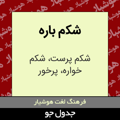 تصویری از شکم باره