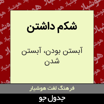 تصویری از شکم داشتن