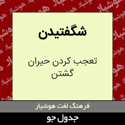 تصویری از شگفتیدن