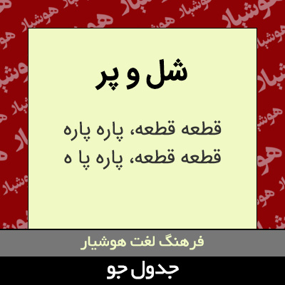 تصویری از شل و پر
