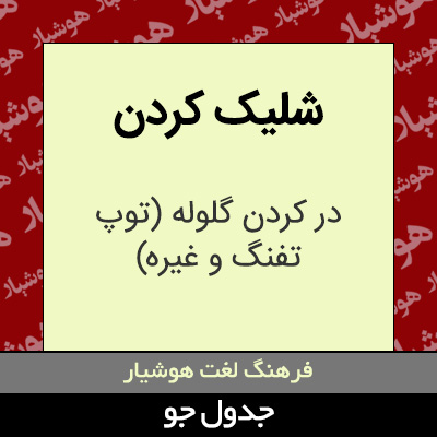 تصویری از شلیک کردن