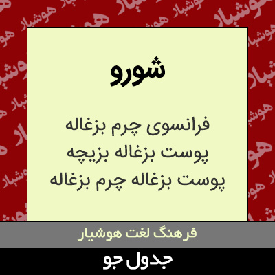 تصویری از شورو