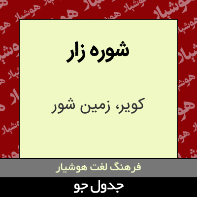 تصویری از شوره زار