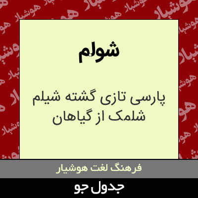 تصویری از شولم