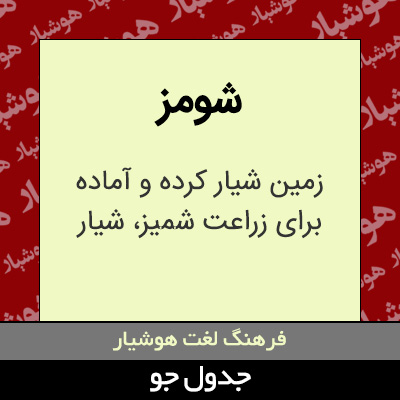 تصویری از شومز