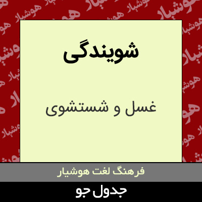 تصویری از شویندگی