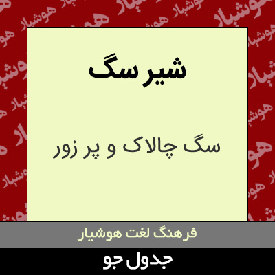 تصویری از شیر سگ