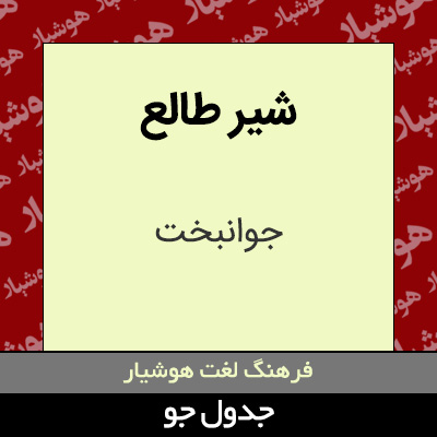 تصویری از شیر طالع