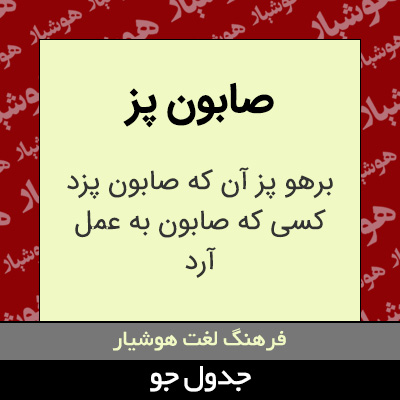 تصویری از صابون پز