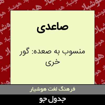 تصویری از صاعدی