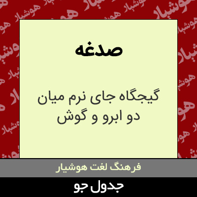 تصویری از صدغه